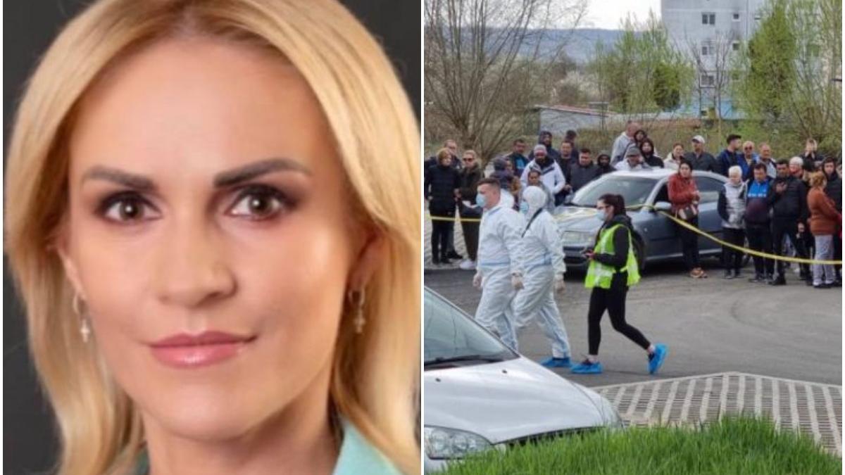 gabriela firea despre adolescentul german crima medias