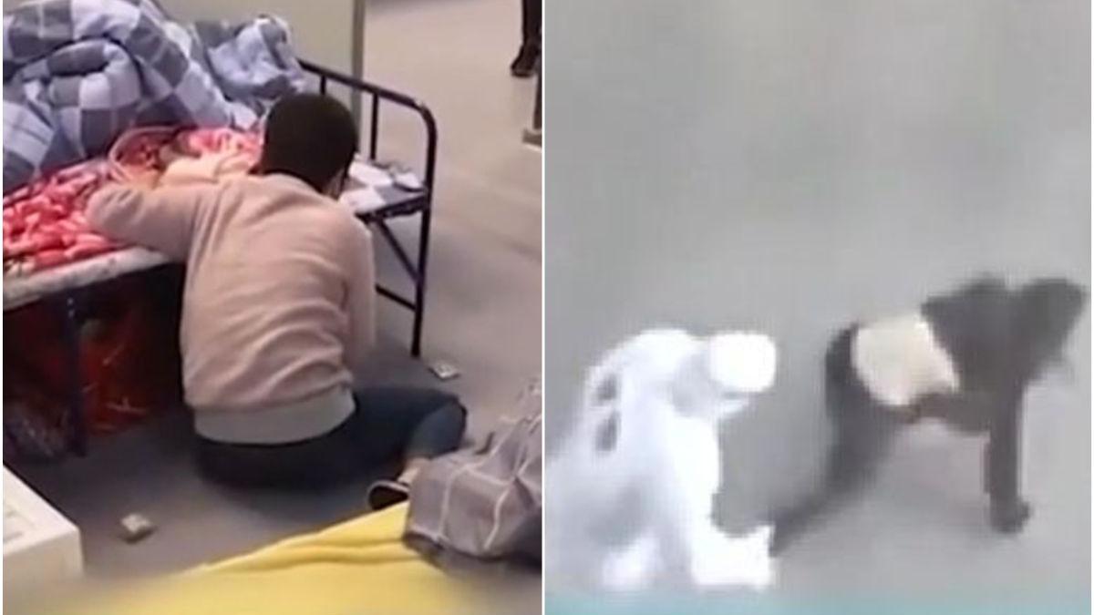 imagini uluitoare china revolta lockdown shanghai