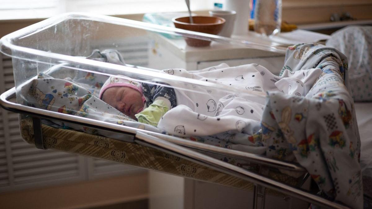 avort italia piemont maurizio marrone