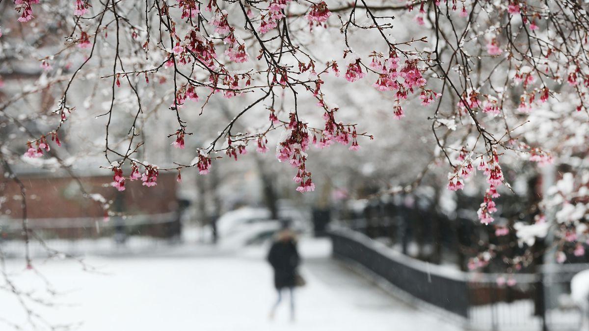 prognoza meteo 18 aprilie 16 mai 2022