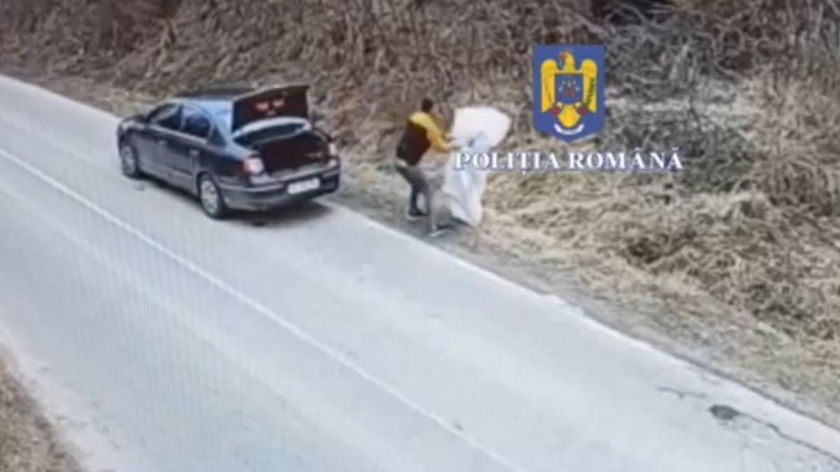 tanar valea ursului neamt filmat caine sac rafie