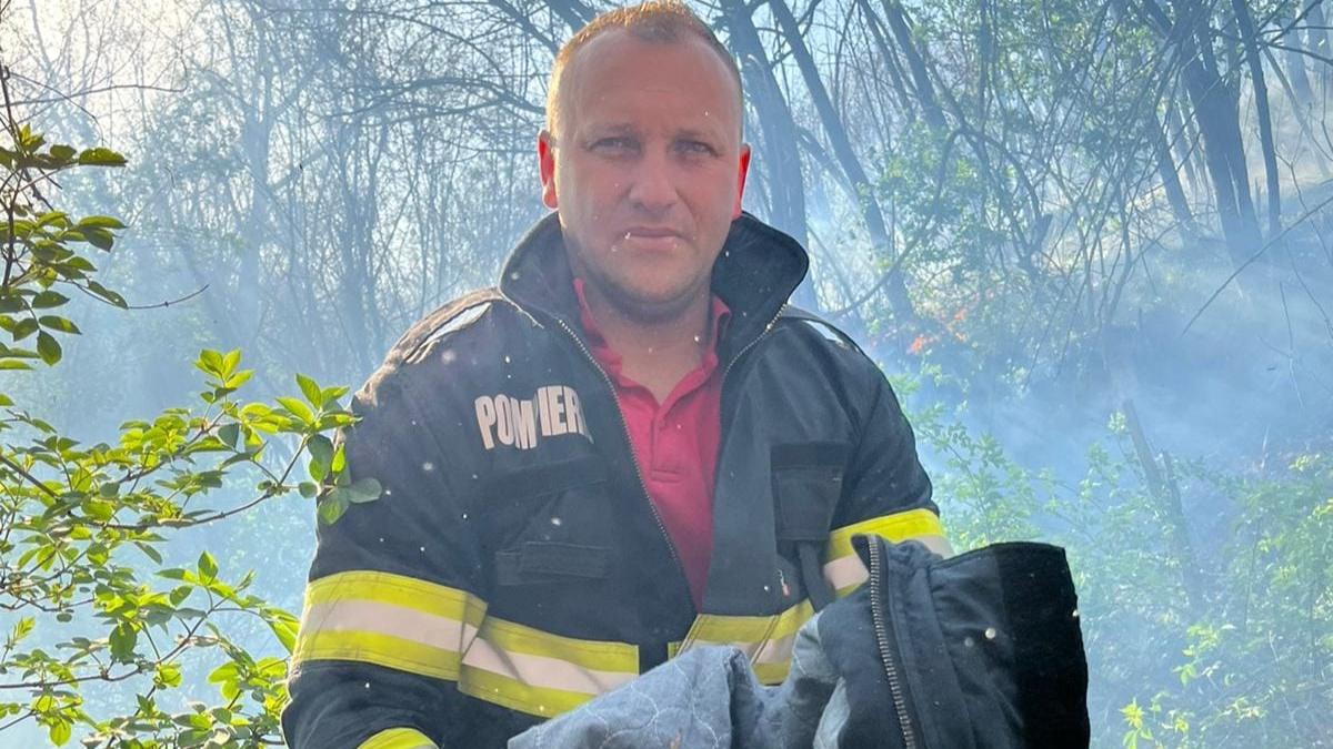 misiune pompieri incendii vegetatie animalut salvat