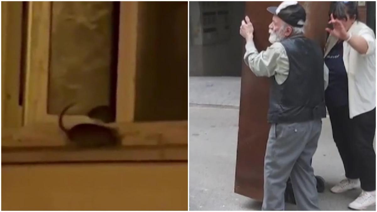 bucurestean creste sobolani apartament dorobanti sectorul 1