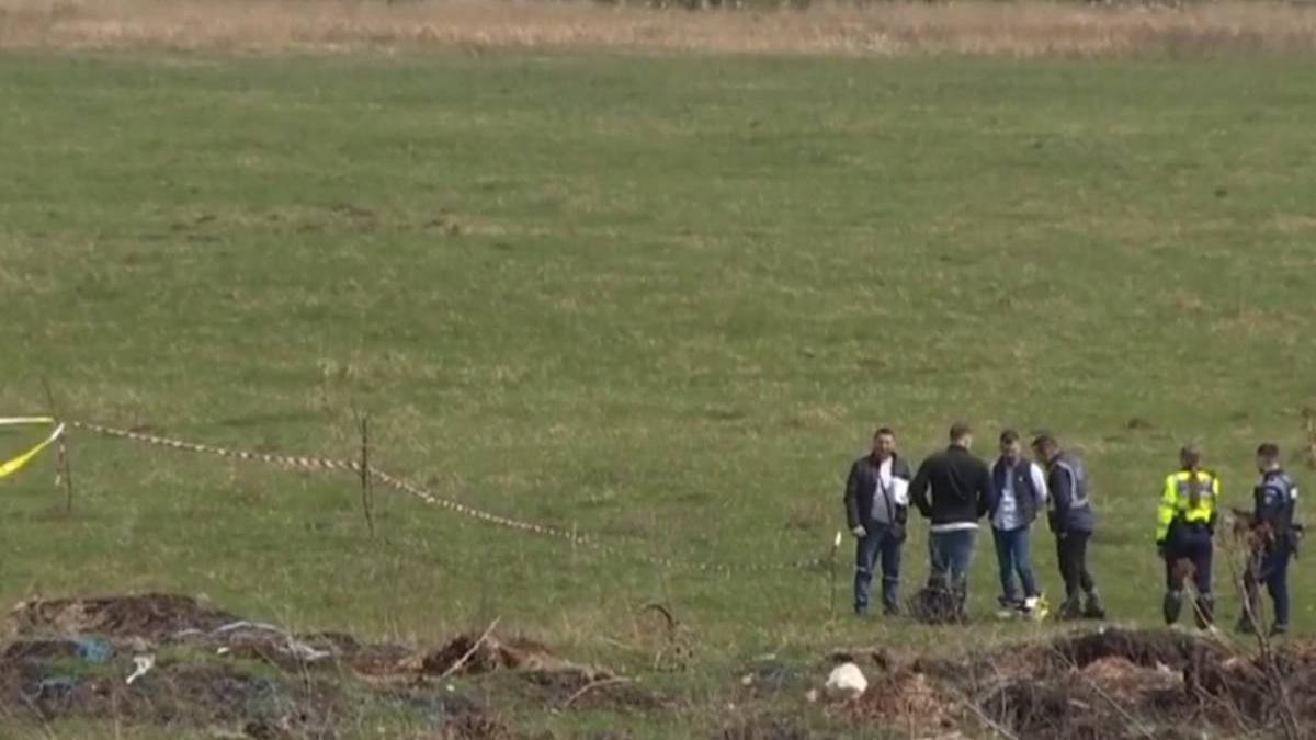 femeie atacata 20 caini maidanezi bucuresti