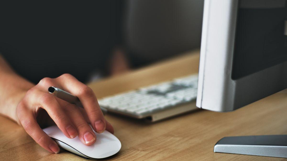 revisal angajati romania acces online date proprii regitru evidenta salariati