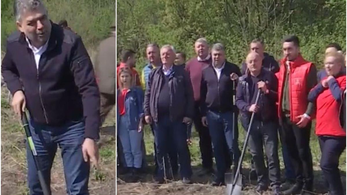 marcel ciolacu plantare puieti buzau