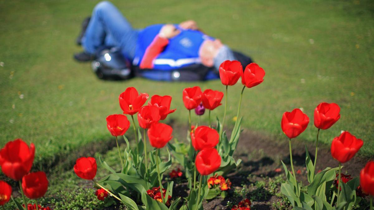 prognoza meteo vremea paste 2022