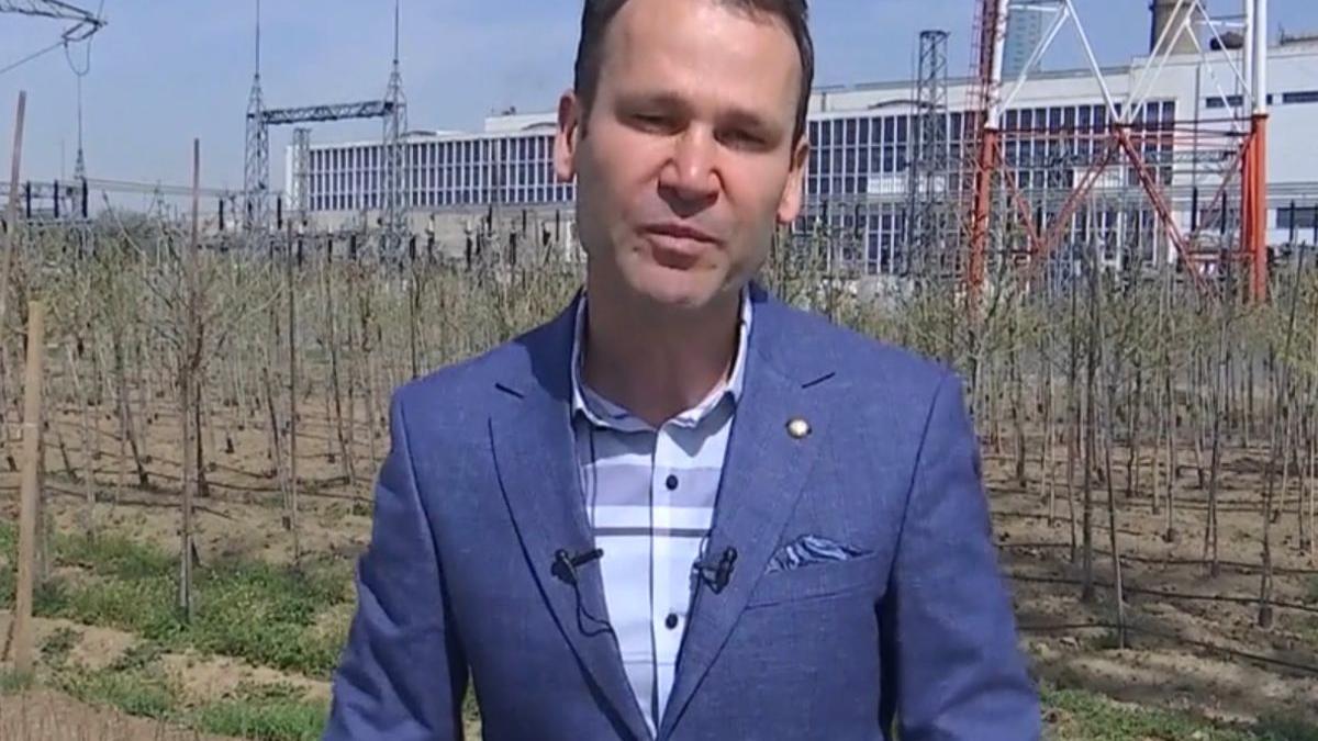 copaci crescuti pepiniere proprii sector 3