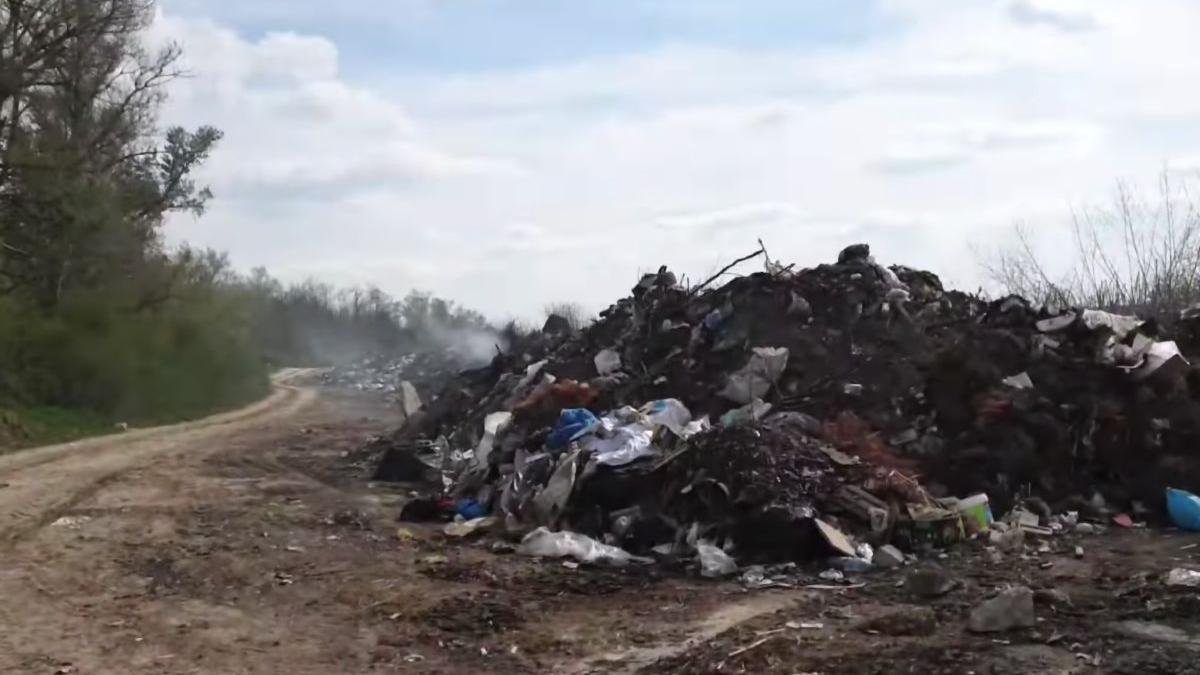 garda de mediu ialomita camp organe animale