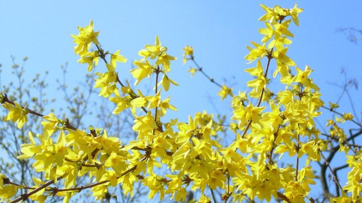 prognoza meteo 25 aprilie 23 mai 2022