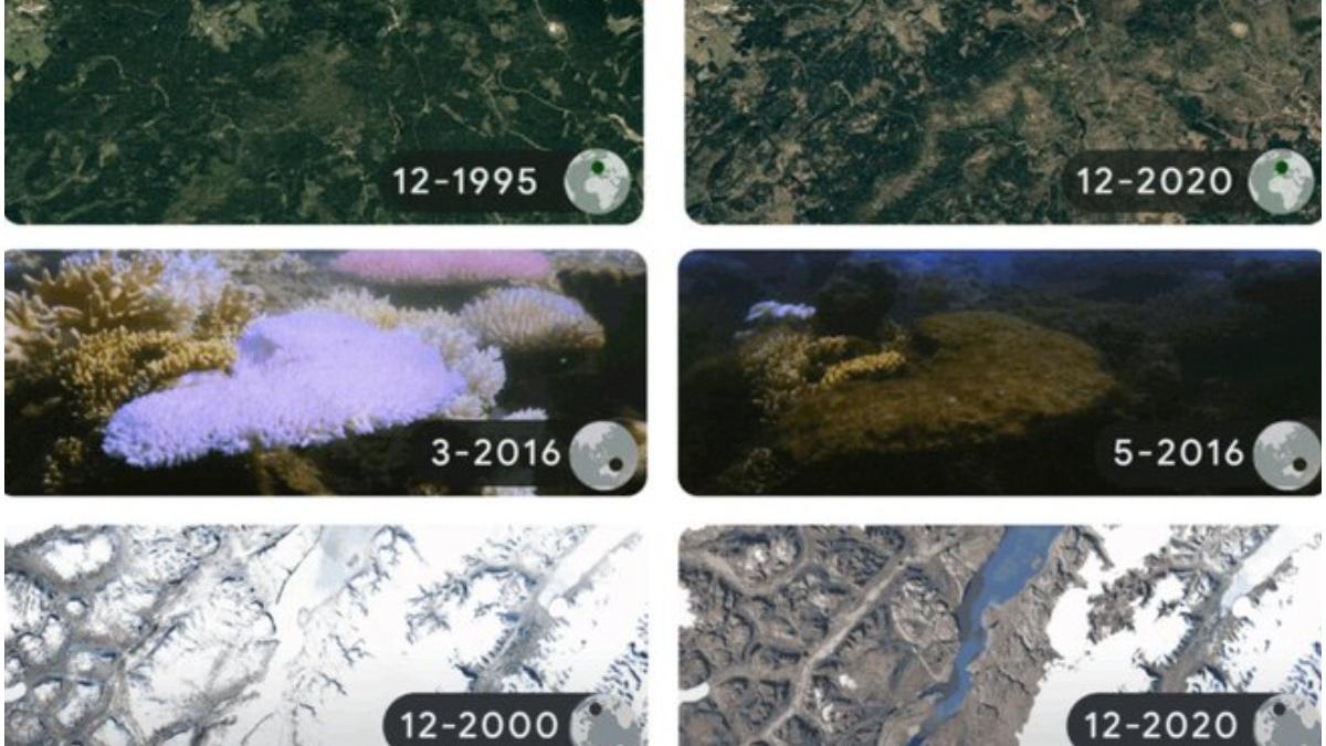 ziua pamantului 2022 marcata google doodle imagini dure criza climatica