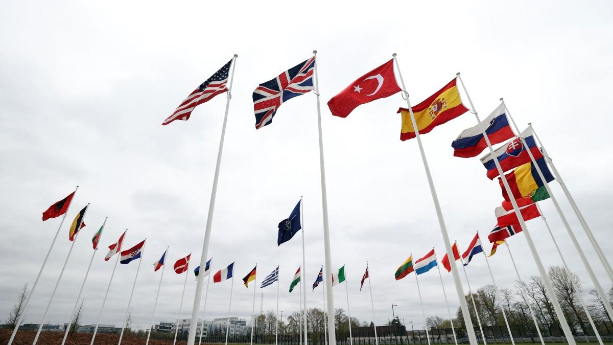 suedia finlanda depun simultan cereri aderare nato