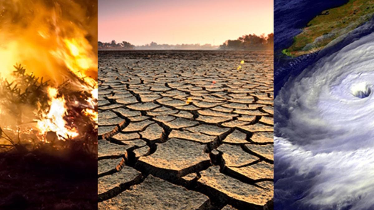 schimbarile climatice ar putea sa provoace viitoarele pandemii