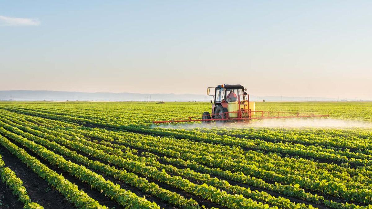 sprijin de 300 de milioane de euro pentru imm urile din agricultura