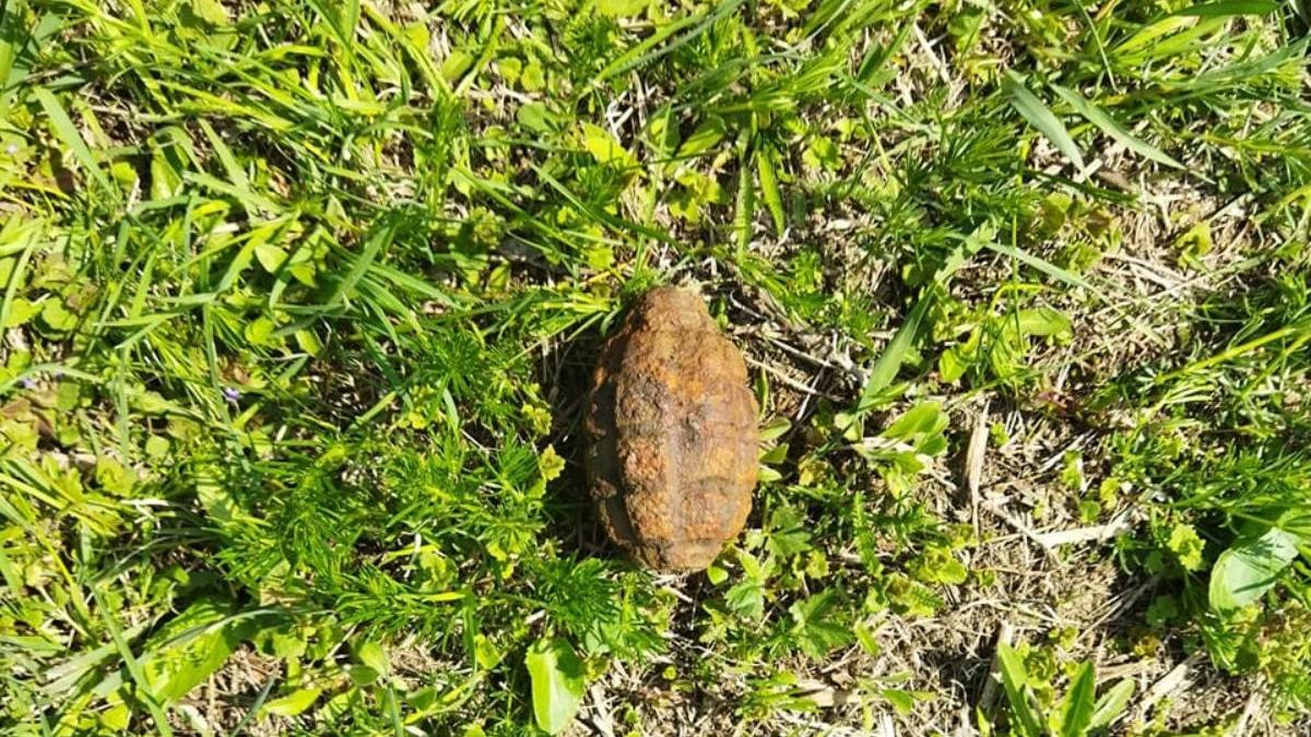 barbat botosani gasit grenada stare functionare propria curte