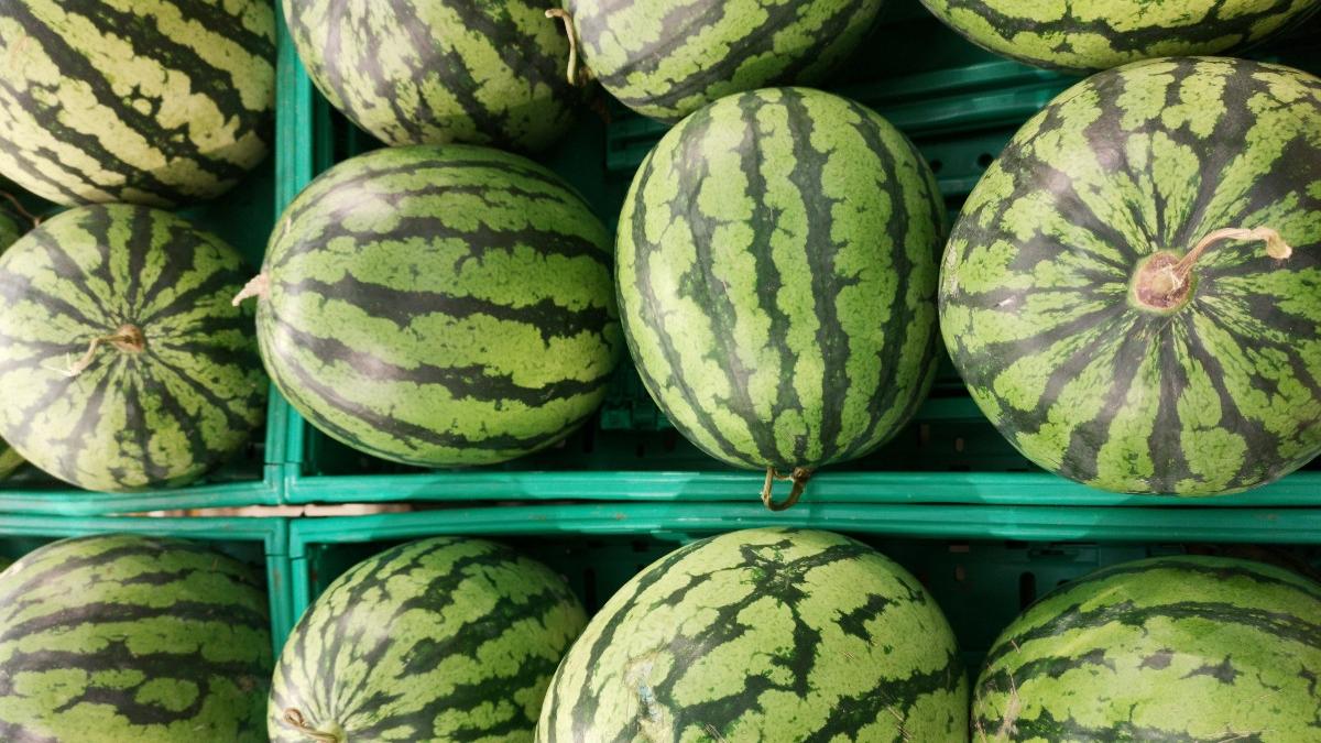 pepene verde cu continut depasit de pesticide retras de pe piata