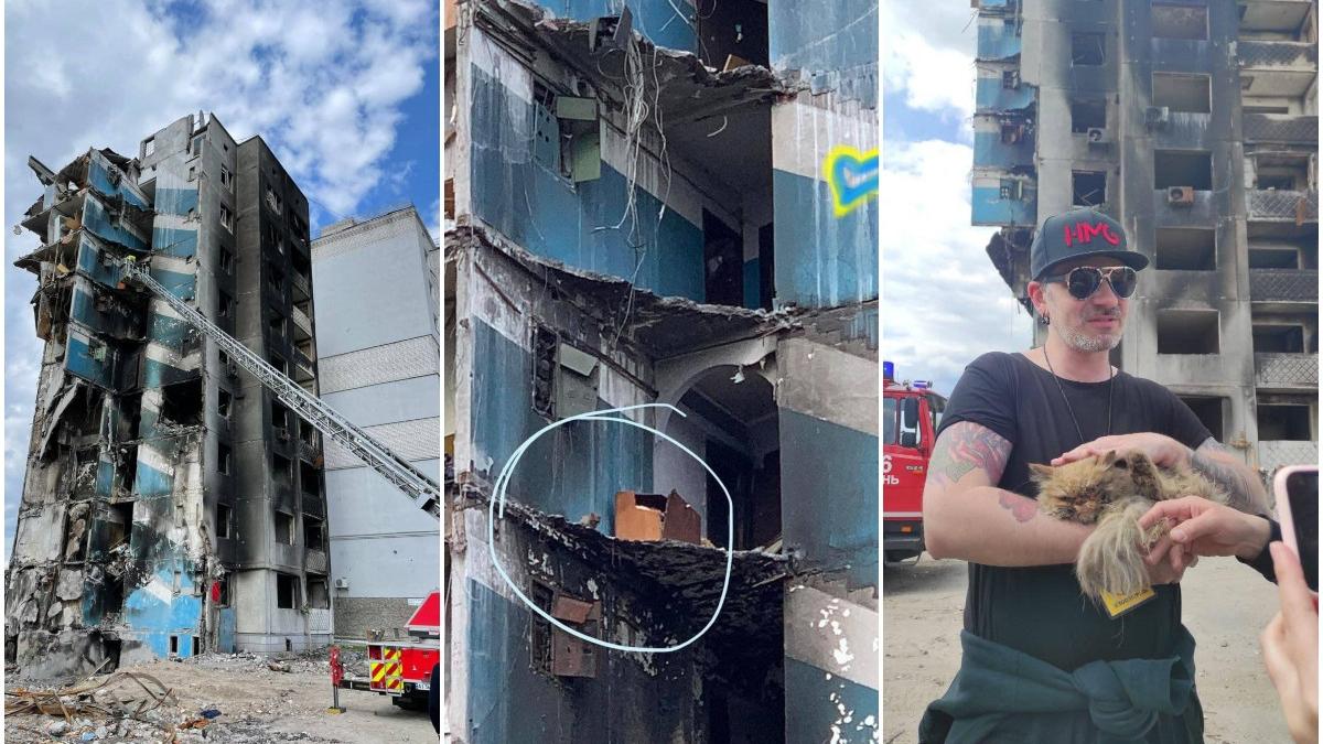 pisica salvata cladire bombardata borodianka ucraina razboi rusia
