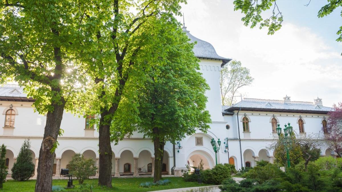 gard palat cotroceni licitatie