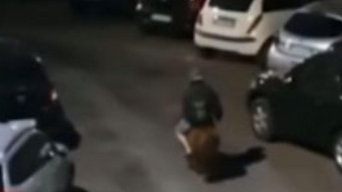 un roman din italia s a plimbat prin oras calare pe un ponei