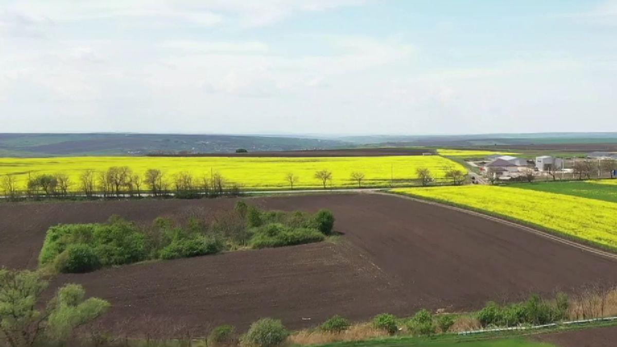 comoara naturala nordul romaniei cel mai fertil pamant tara