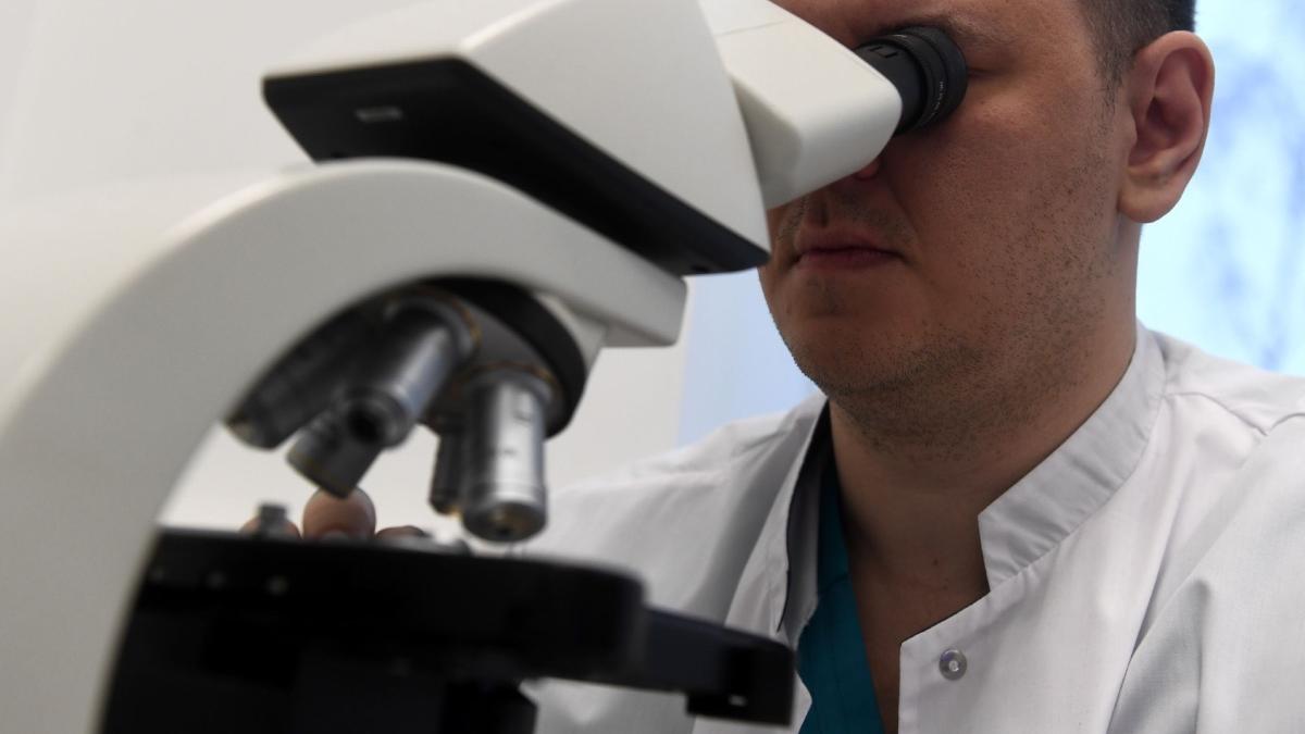 virus modificat genetic combaterea cancerului pacreatic stadiu avansat