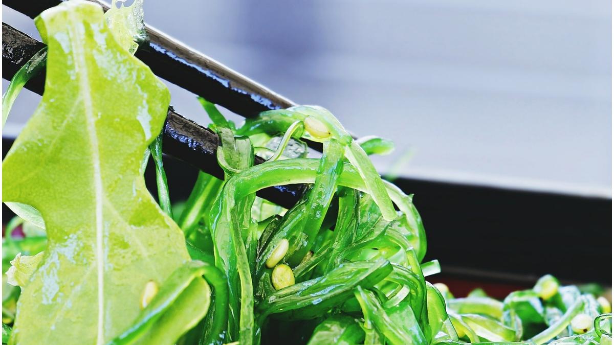 mancarea viitorului algele