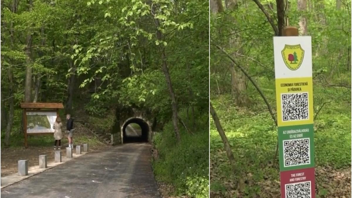 padurea smart turisti telefonul mobil statiunea baile felix