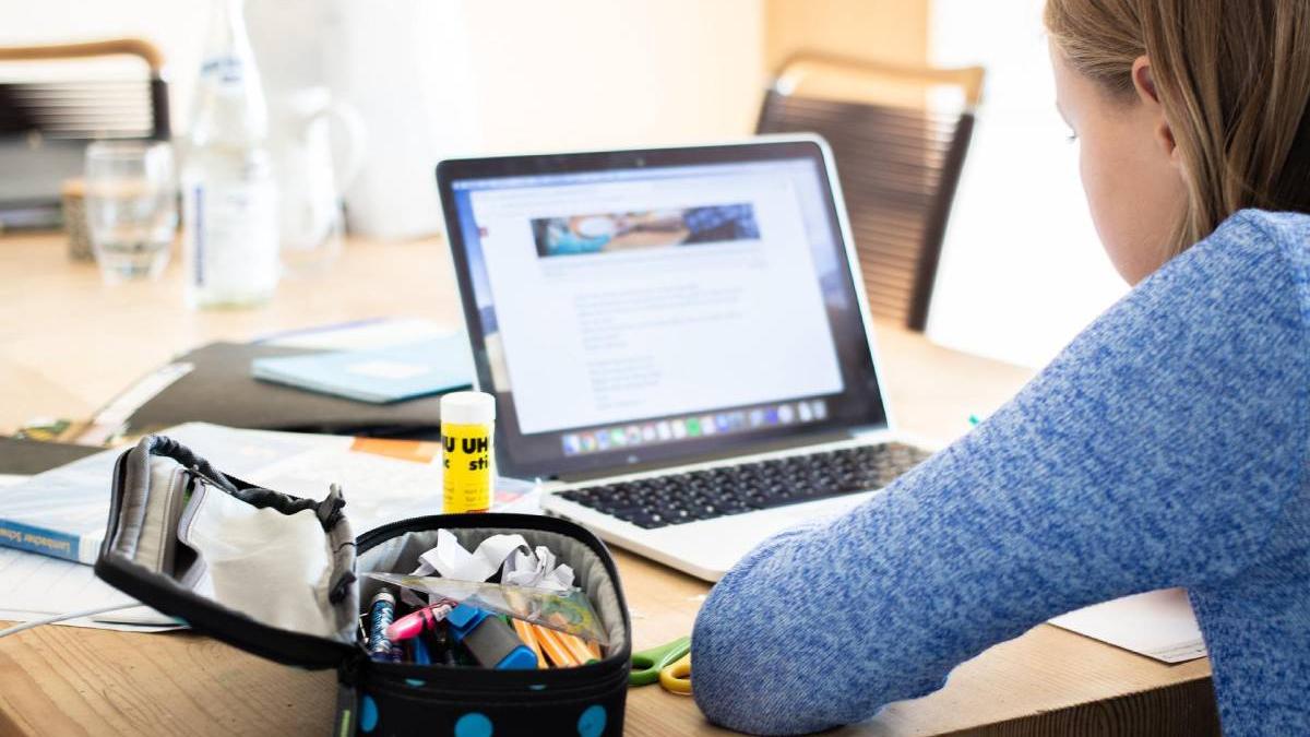 elevi gimnaziu liceu studia noua disciplina 2023 anunt ministru educatie