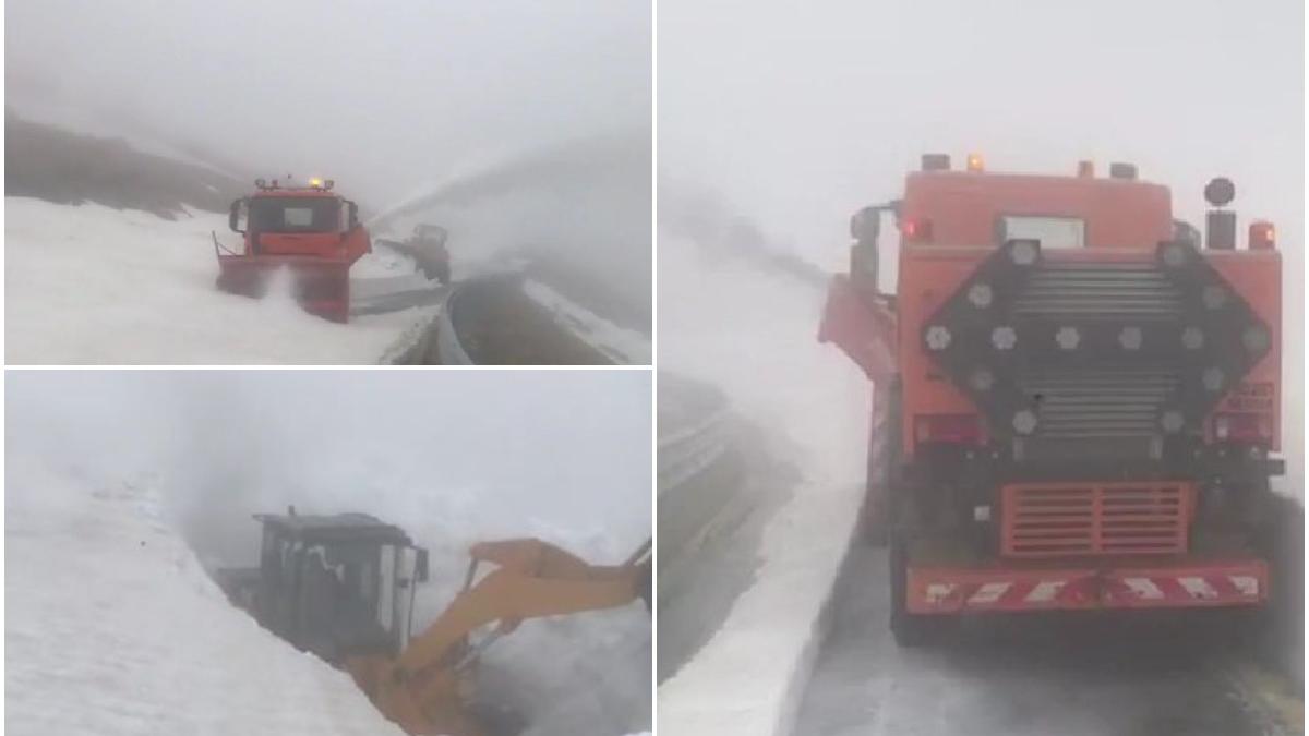 zapada transalpina drumari deszapezire