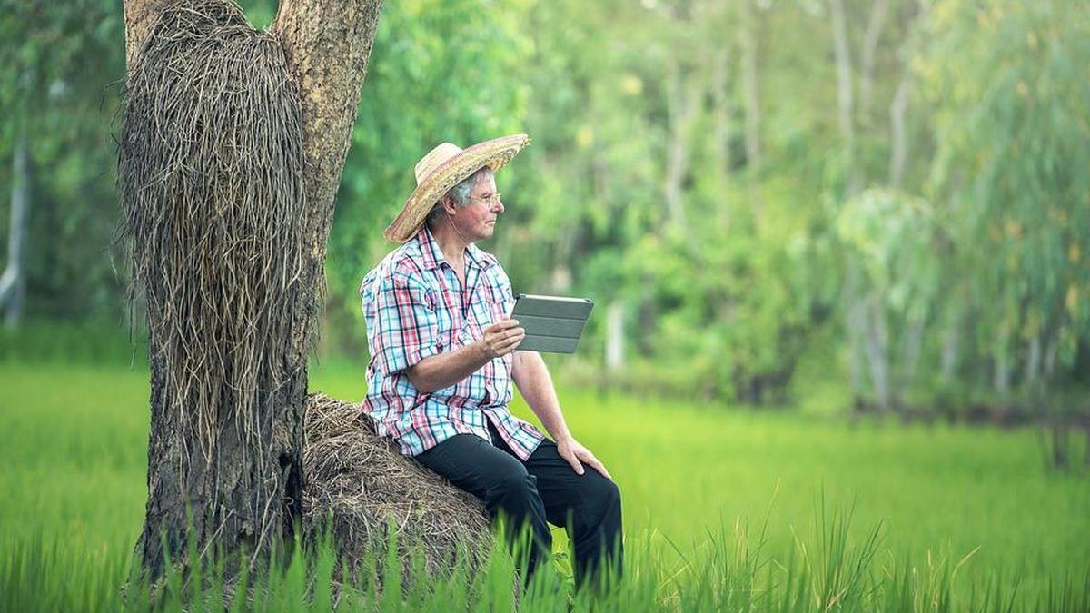 meserie aparuta romania nu exista europa 2000 experti