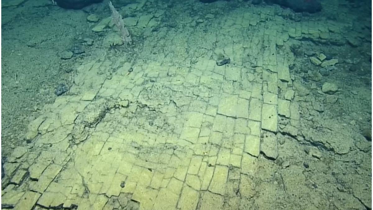 oameni de stiinta drum subacvatic