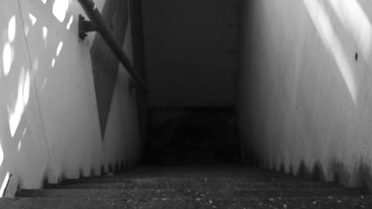 schelet uman boxa alesd