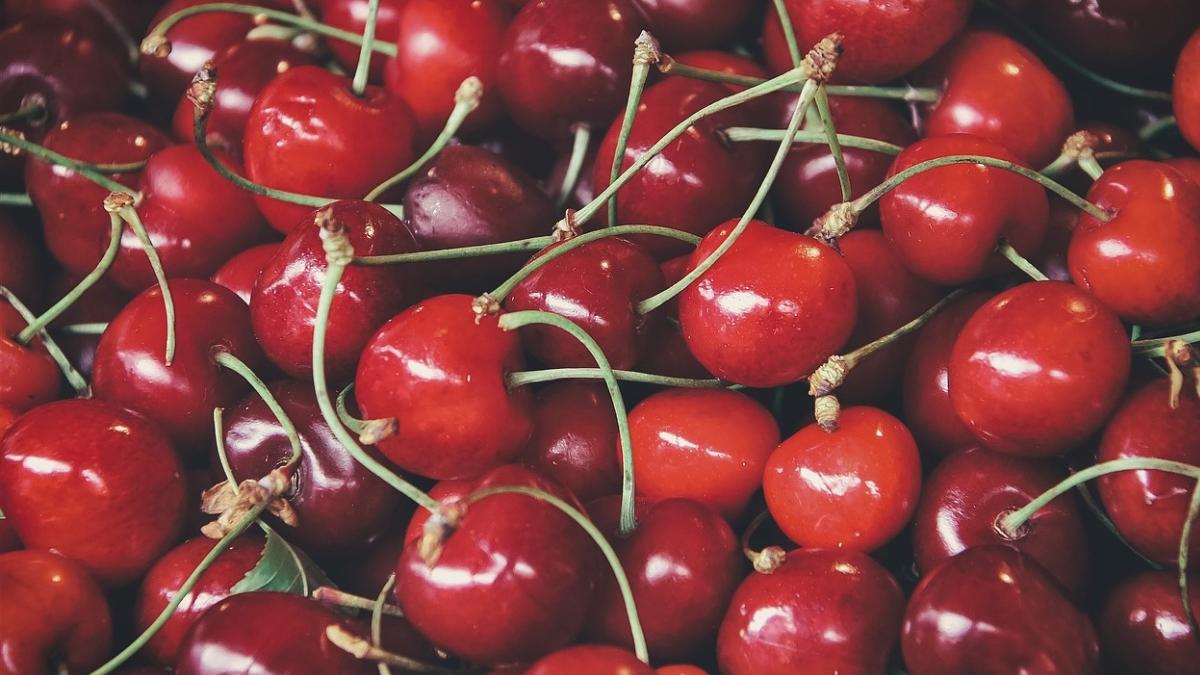 cat costa ciresele 2022