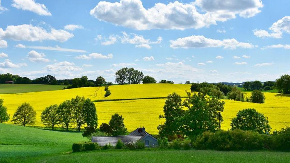 vremea prognoza meteo temperaturi mai 2022