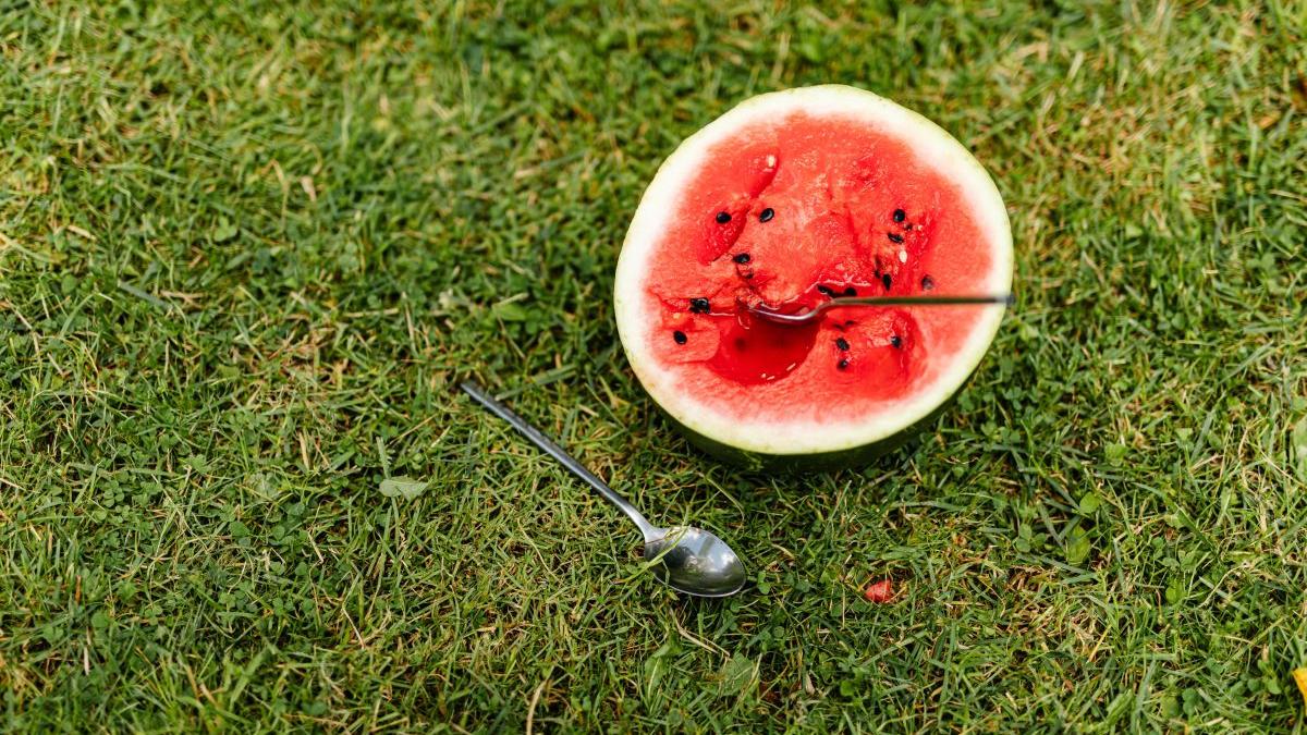 ce se intampla inghiti seminte pepene verde