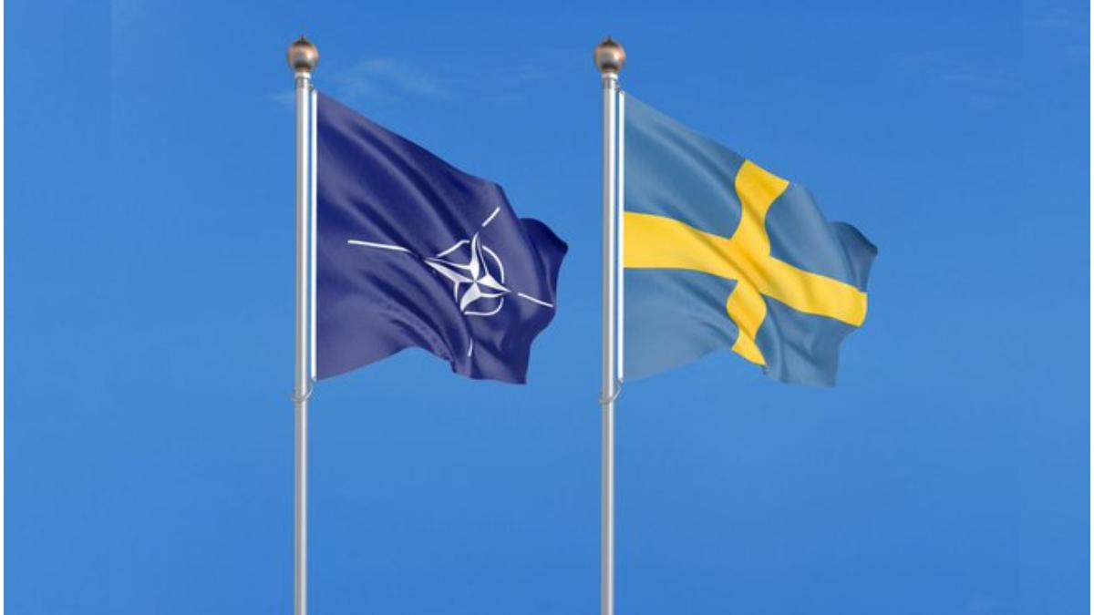 dupa finlanda suedia vrea nato partid guvernamanat sustinere