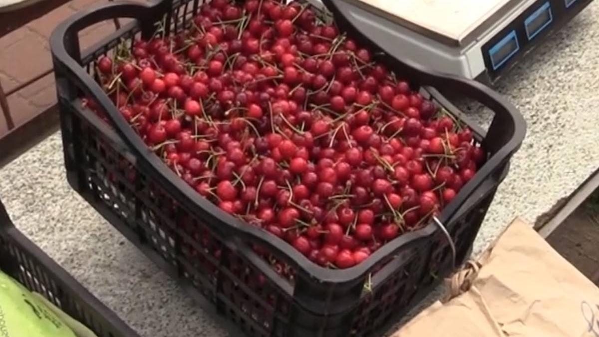 loc romania cirese vand preturi cinci ori mici bucuresti