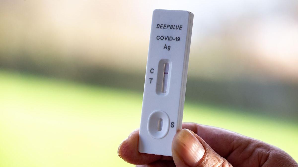 subvariante omicron spitalizari africa de sud portugalia