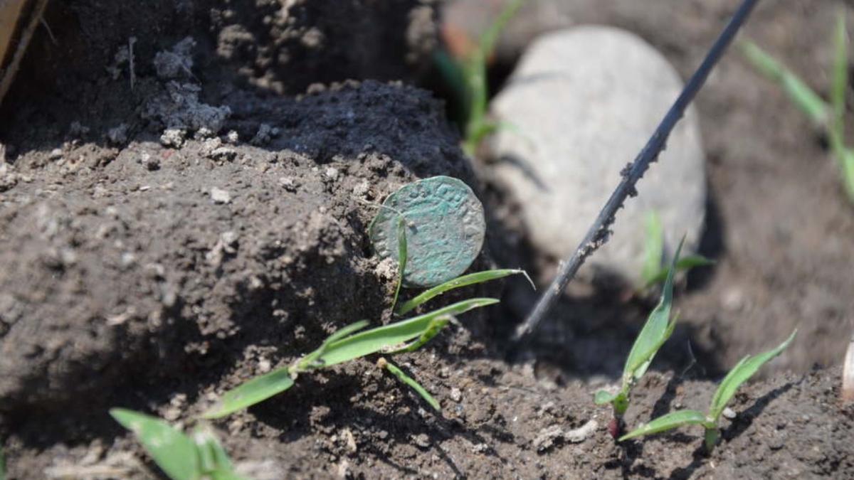 Peste 400 de monede de argint, din secolul al XVI-lea, descoperite pe câmp, în Timiș, cu un detector de metale