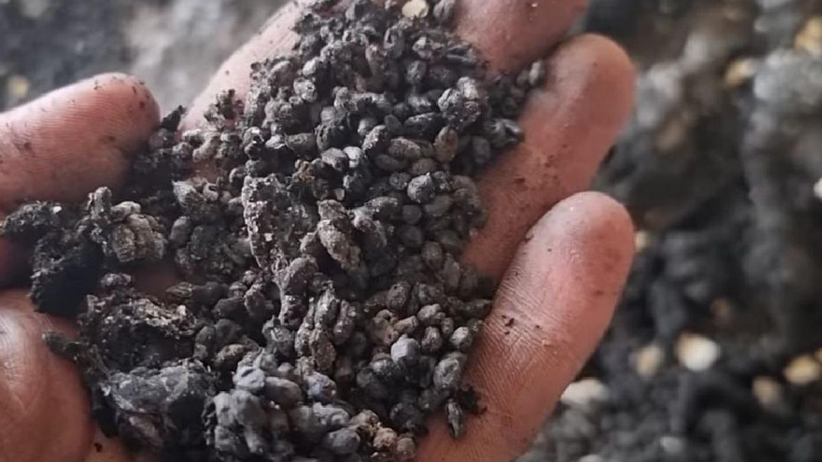 armata putin banca genetica harkov hitler ucraina