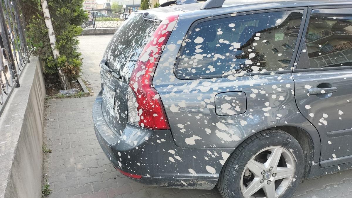 masina sofer cluj ciment parcare magazin