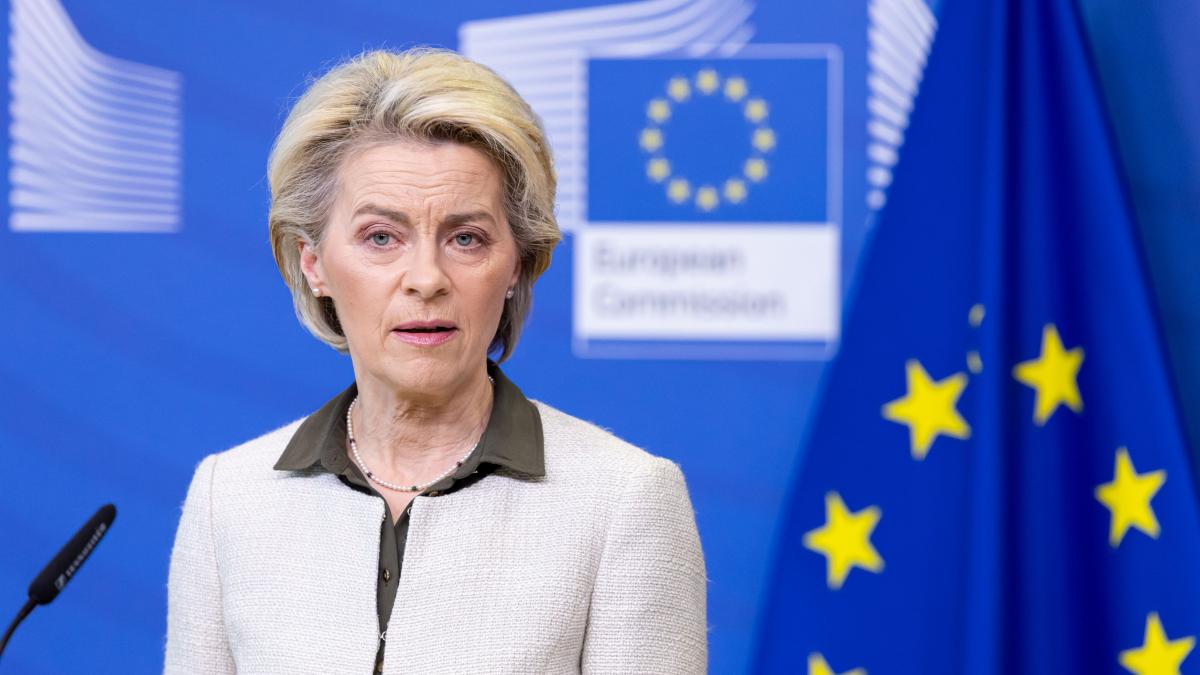 bruxelles petrol gaze dependenta energeita rusia ursula von der leyen