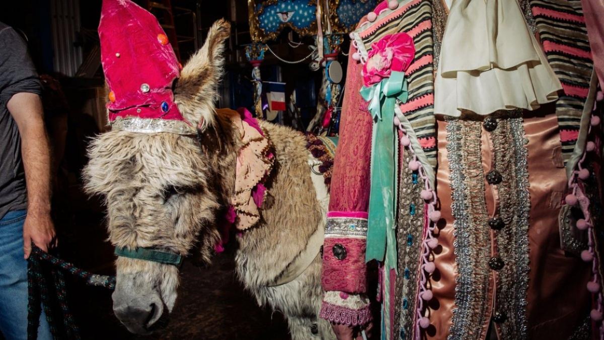 magar debut scena opera