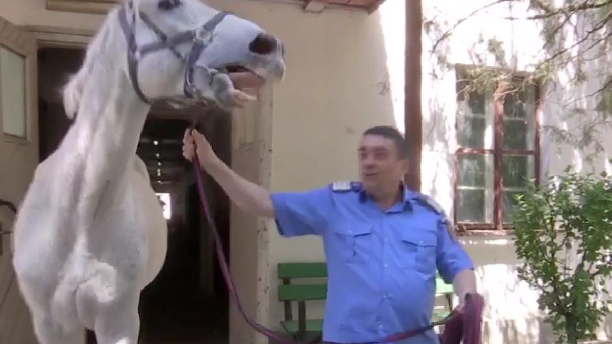 sarlatan adoptat politician cal jandarmerie