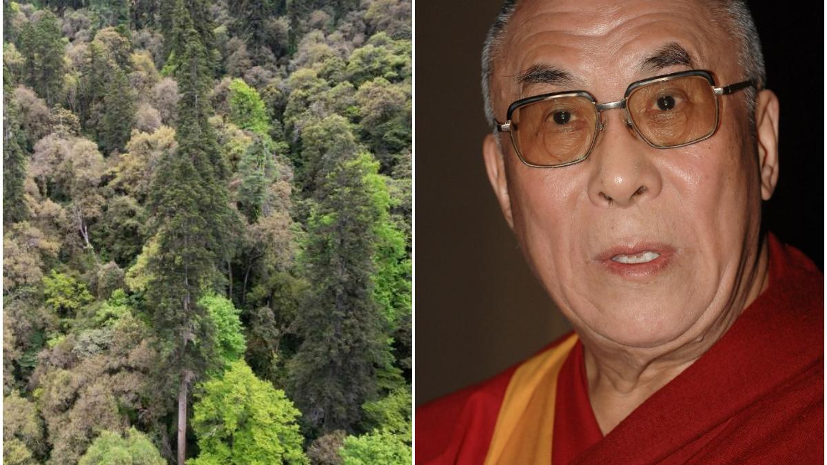 copac 83 metri tibet