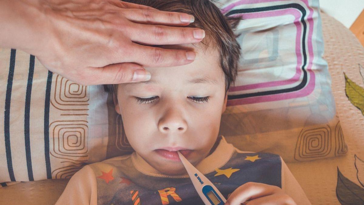 val infectii digestive toxiinfectii alimentare