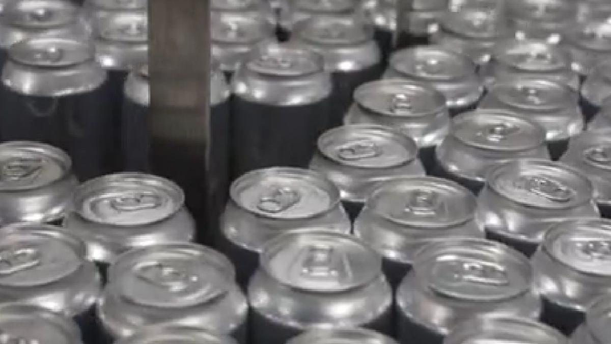 bere nato gust siguranta libertate rusia gaz finlanda