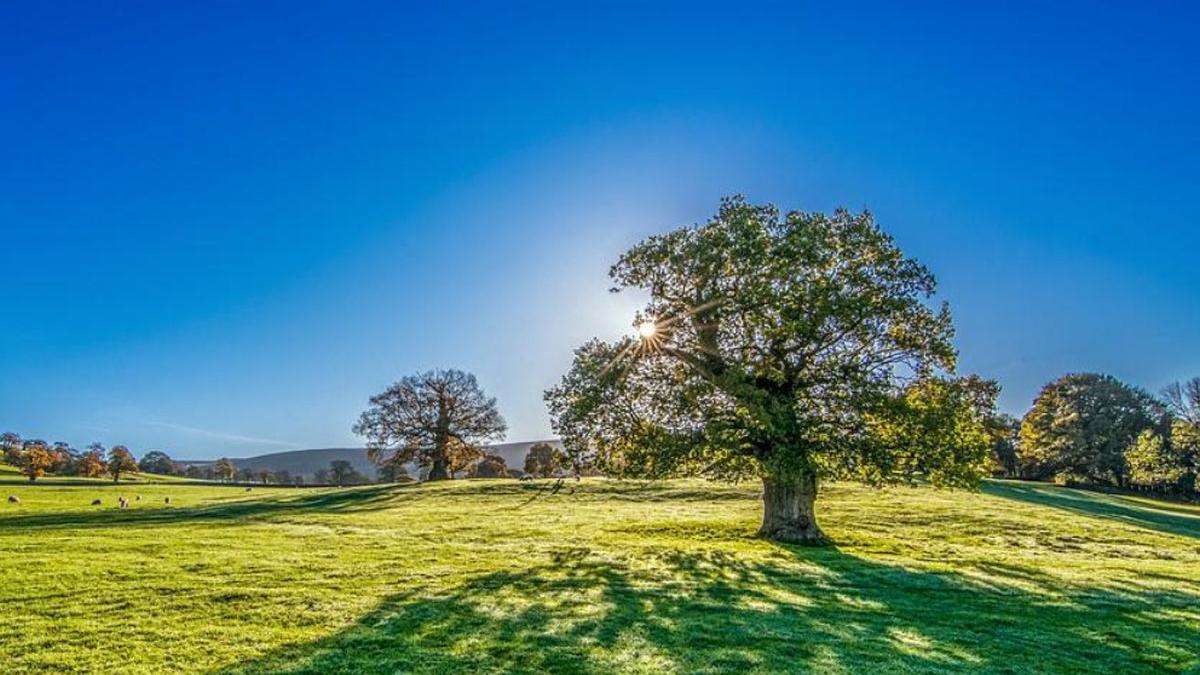 vremea in weekend temperaturi mai 2022