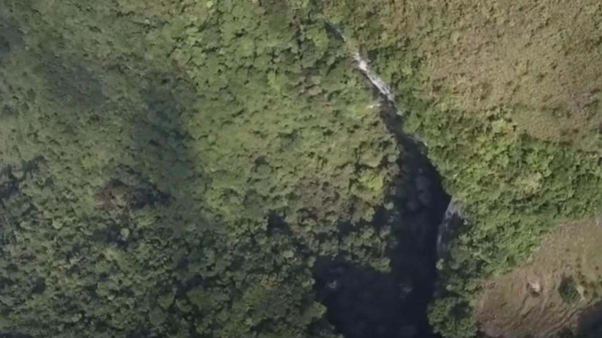 descoperire groapa china padure copaci