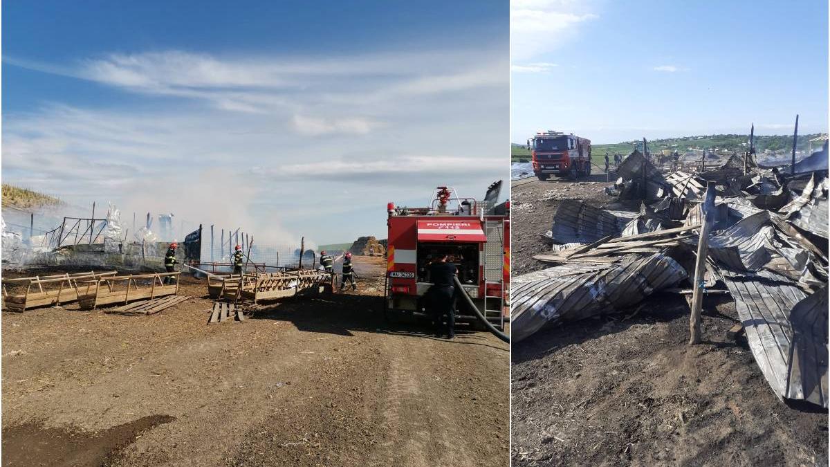 incendiu masiv judet botosani